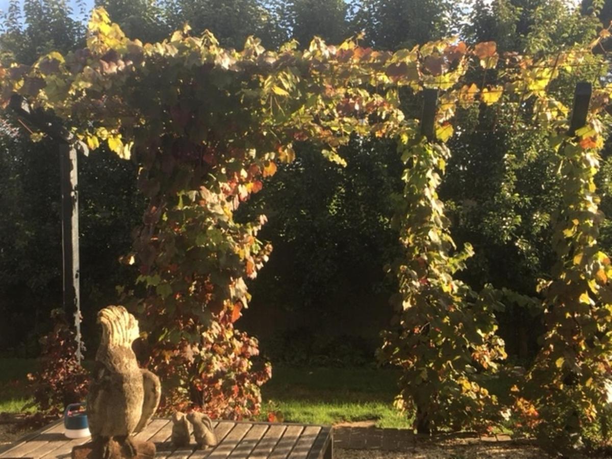 A'Meadow Bed & Breakfast Trentham Exterior photo